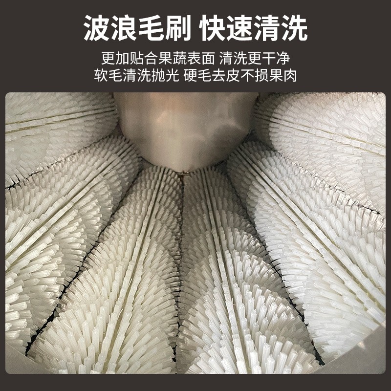 红薯土豆去皮清洗机全自动毛辊清洗机洗姜机果蔬清洗机一机多用图4