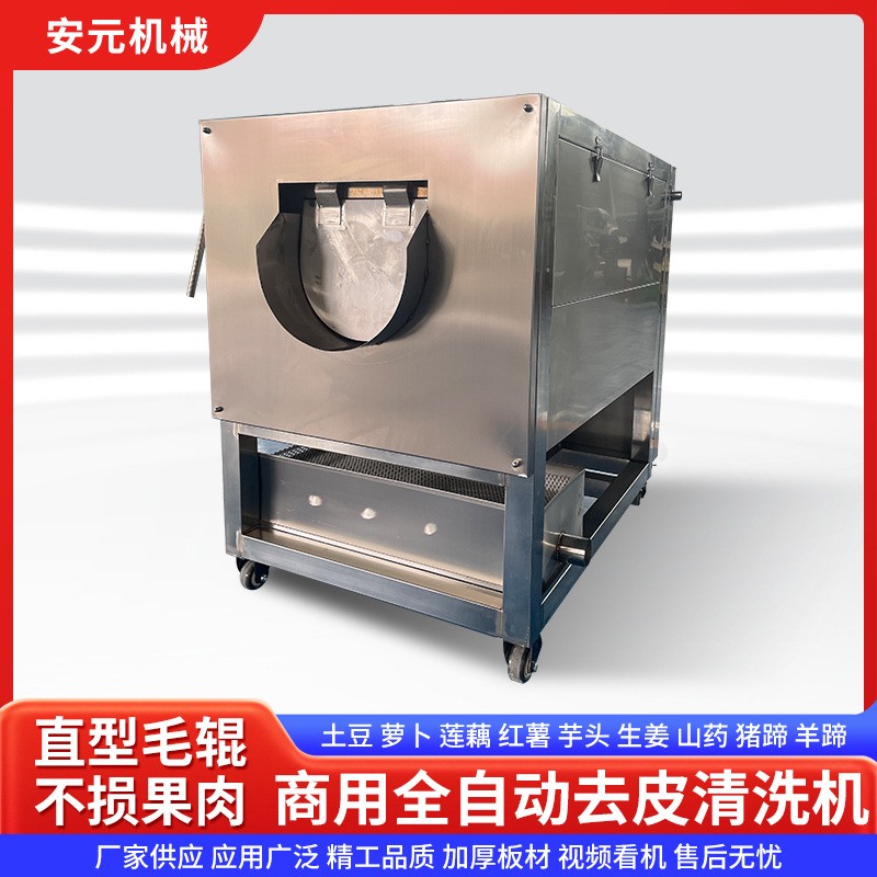 土豆清洗去皮机毛辊清洗机芋头红薯药材莲藕去泥清洗机小型洗姜机图4