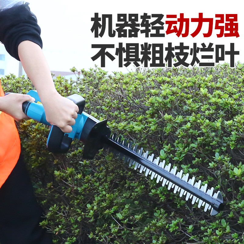 电动绿篱机充电式篱笆剪园林修枝剪家用电动树叶修剪机图3
