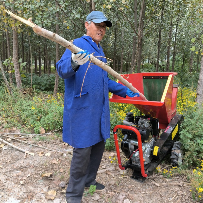 果园林树枝粉碎机小型树木枝条破碎机 柴油电启动园林碎枝机图2