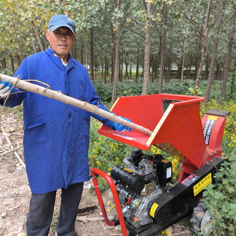 果园林树枝粉碎机小型树木枝条破碎机 柴油电启动园林碎枝机图3