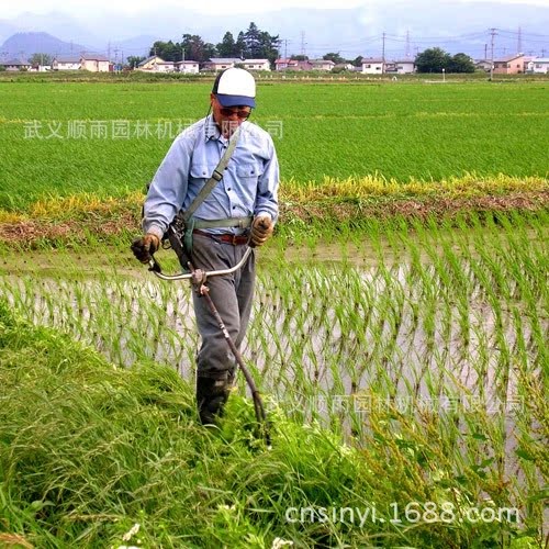 BG430背负式割草机二冲程 农用经济型膜片式化油器图4