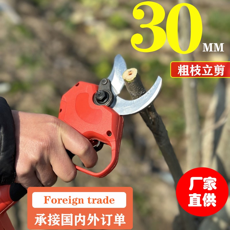 进口电动修枝剪刀家用园林园艺锂电充电式果树粗枝电剪刀图3