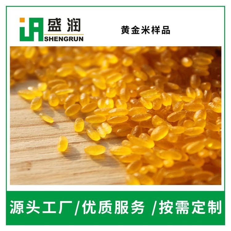 营养方便米生产线 强化营养米加工设备 人造复合米生产设备 盛润机械图3