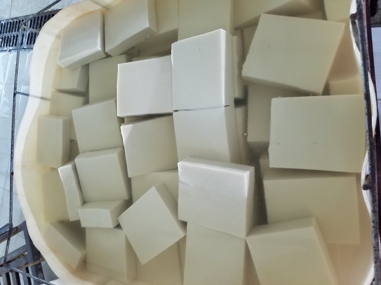 魔芋素食机器设备 机械厂家 魔芋粉机器供应 厂家直供图3