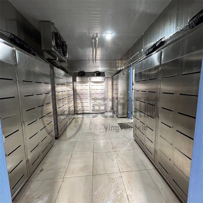 鸡鸭鱼低温高湿解冻机 肉禽类解冻房 牛羊肉解冻设备猪肉缓化间图4