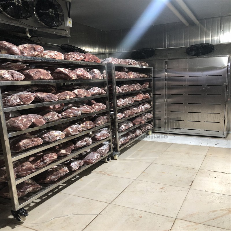 鸡鸭鱼低温高湿解冻机 肉禽类解冻房 牛羊肉解冻设备猪肉缓化间图3