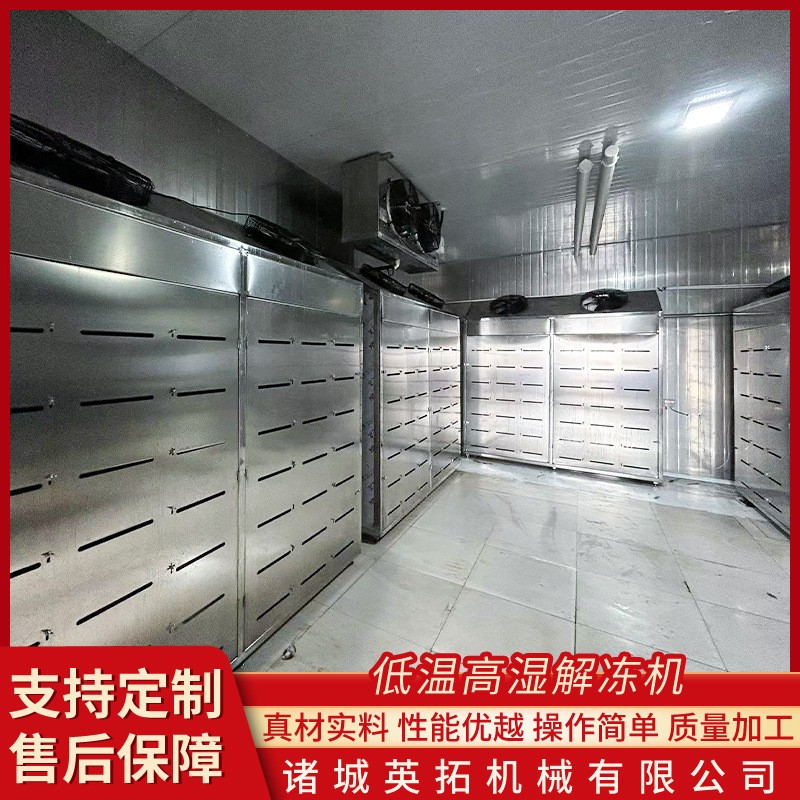 鸡鸭鱼低温高湿解冻机 肉禽类解冻房 牛羊肉解冻设备猪肉缓化间
