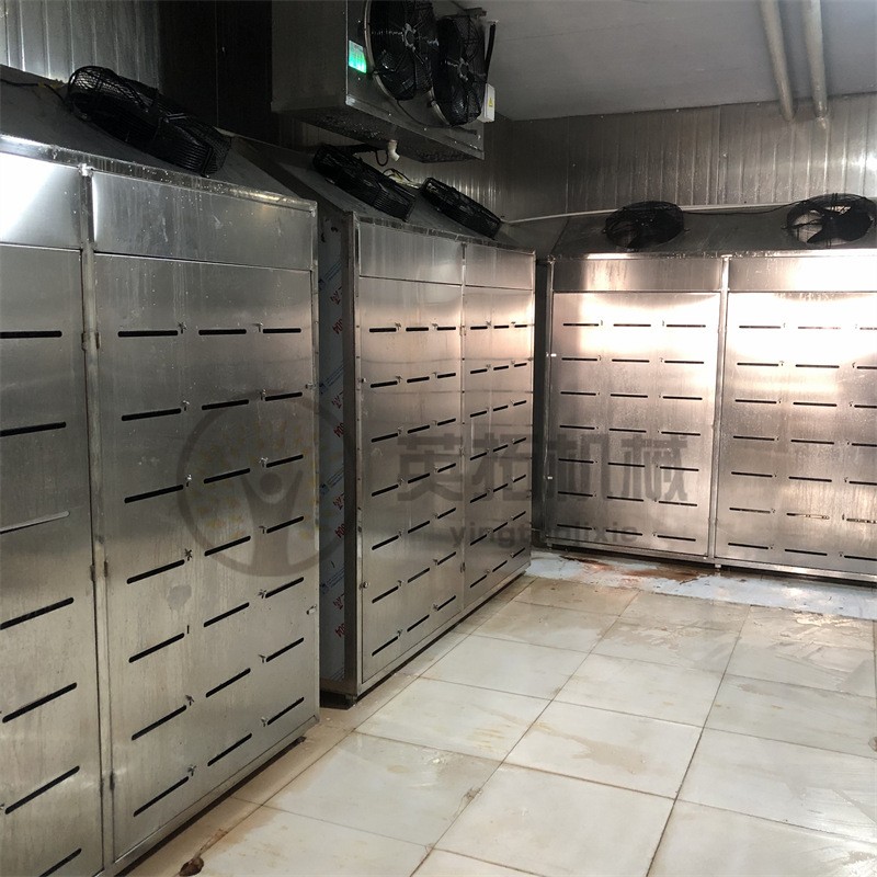 鸡鸭鱼低温高湿解冻机 肉禽类解冻房 牛羊肉解冻设备猪肉缓化间图2