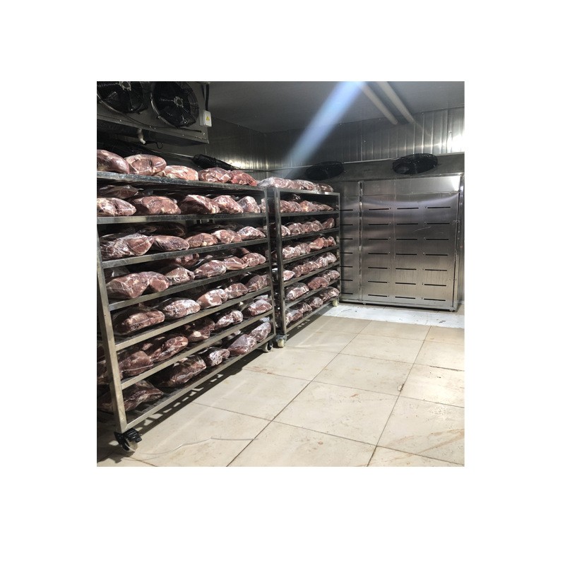 鸡鸭鱼低温高湿解冻机 肉禽类解冻房 牛羊肉解冻设备猪肉缓化间图5