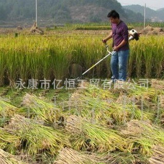 厂家直供侧挂式割灌机割草机 小型背负式割草机 刀片割草机图4