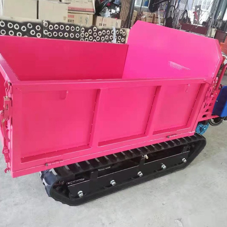 卡博恩 履带运输车 小型手扶履带运输车 地形履带运输车育苗机图3