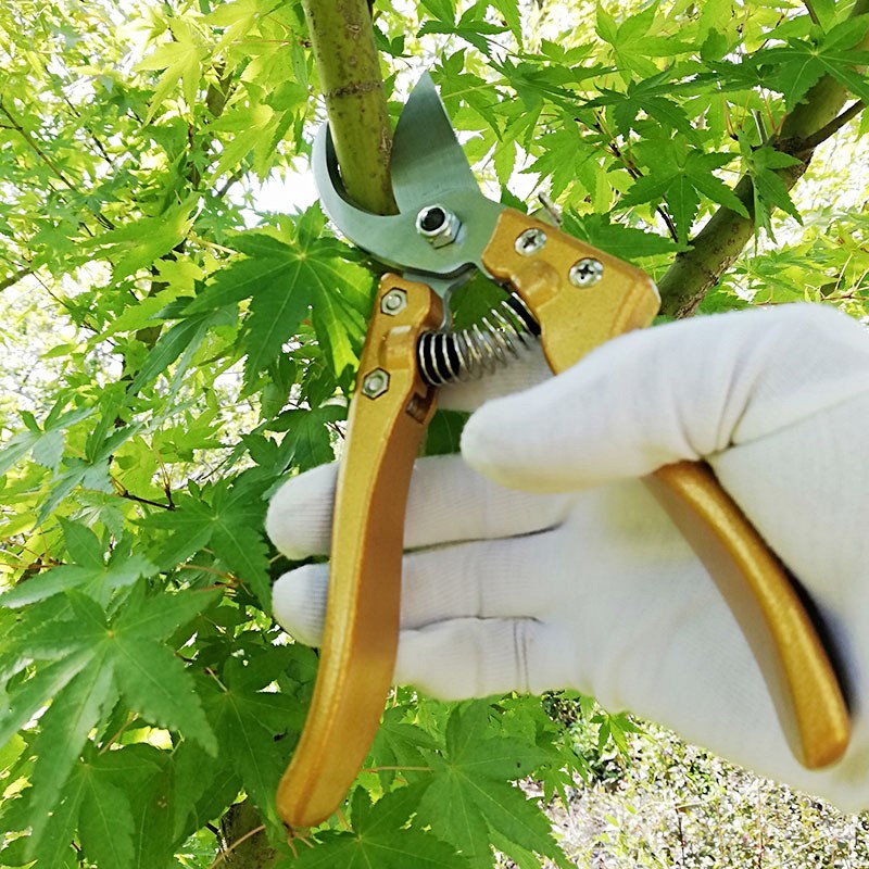 厂家批发金属铝柄剪刀果树修枝花卉园林多功能家用省力果枝剪粗枝图3