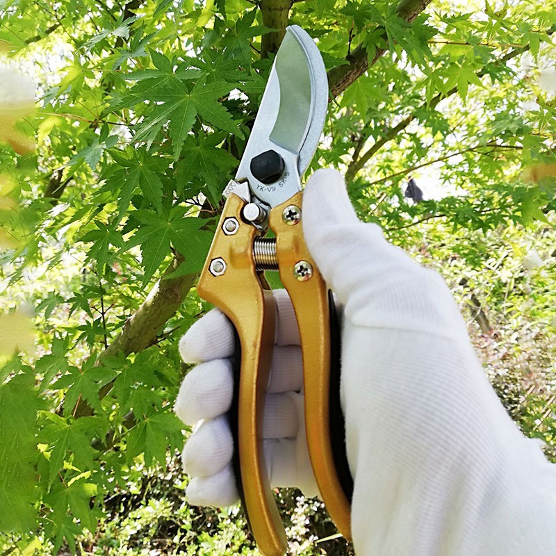 厂家批发金属铝柄剪刀果树修枝花卉园林多功能家用省力果枝剪粗枝图2