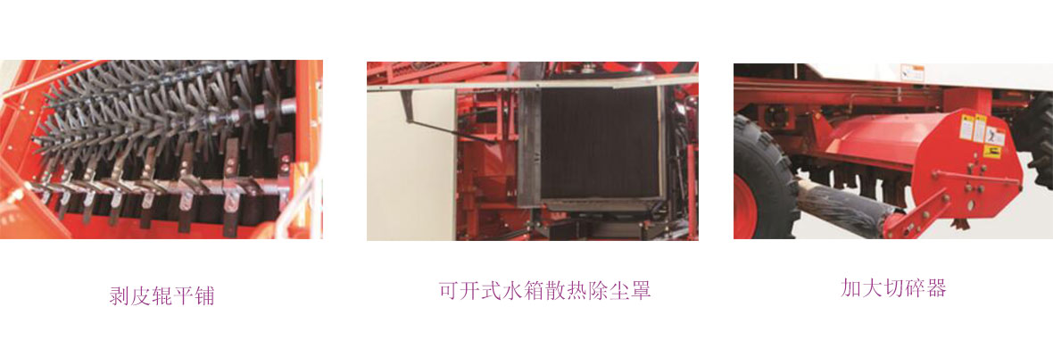 春雨CP M40细节图 春雨CP M40细节图