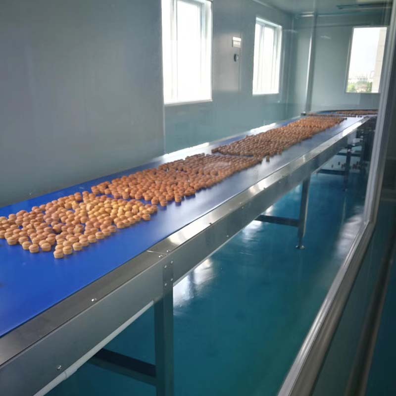 各式皮带输送机PVC皮带输送机小型食品物料水平输送机生产流水线图4