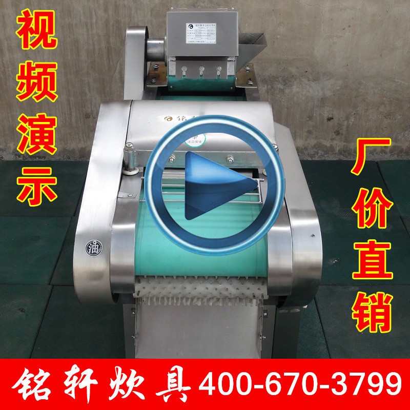 供应1000型 多功能切菜机 切苦瓜片机 切海带机 切梅干菜机