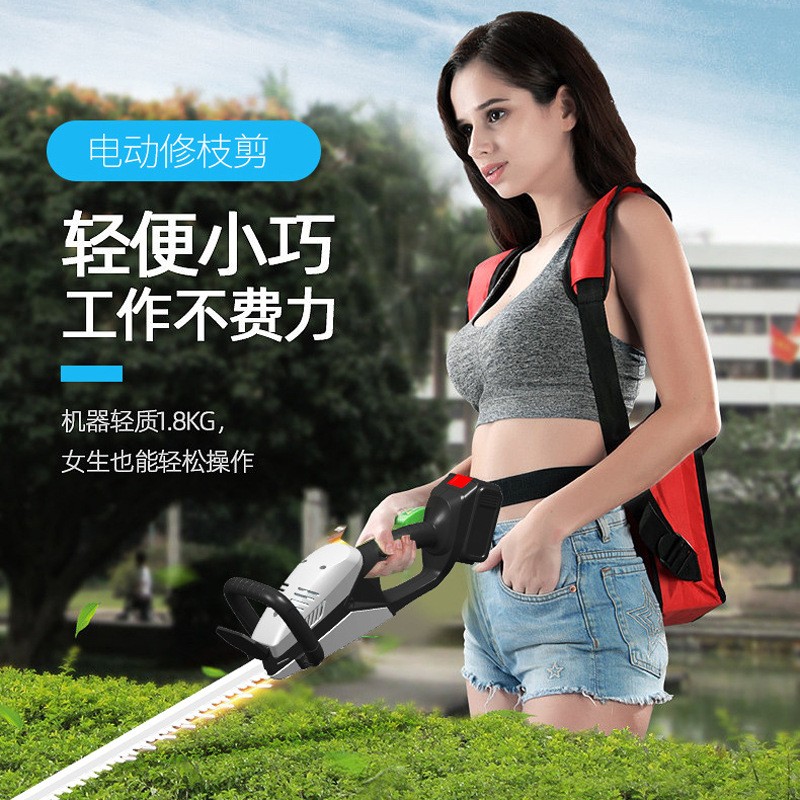 电动绿篱机锂电池充电式多功能修剪家用园林修枝机采茶机篱笆机图3