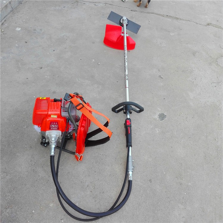 背负式二冲程除草机 大棚葡萄园割草机 蔬菜基地杂草剪草机 四川图3