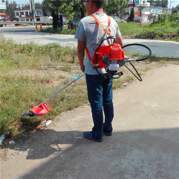 背负式二冲程除草机 大棚葡萄园割草机 蔬菜基地杂草剪草机 四川图4