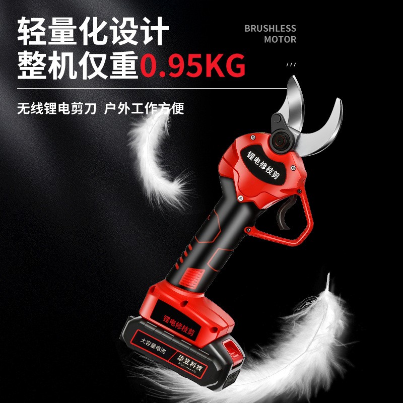 电动剪刀果树式园林粗枝锂电修枝剪高枝树枝神器加长剪子充电手持图2