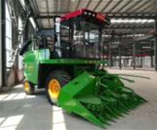 会晟4QZP-3000自走式青贮饲料收获机图2