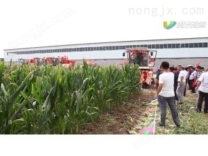 山东国丰4YZP-4EI自走式玉米收获机