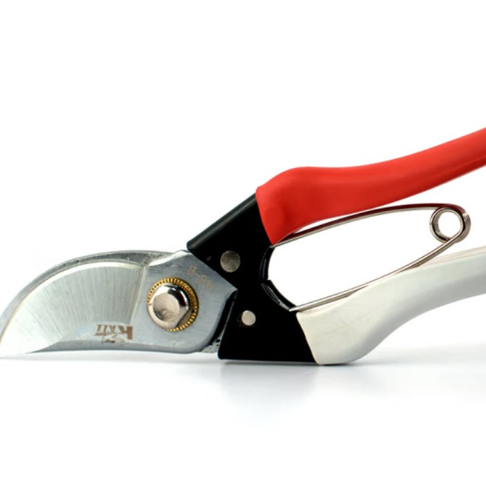 凯姿P168果树剪花木剪 园艺修枝剪 枝条修剪树枝剪刀园林工具图4