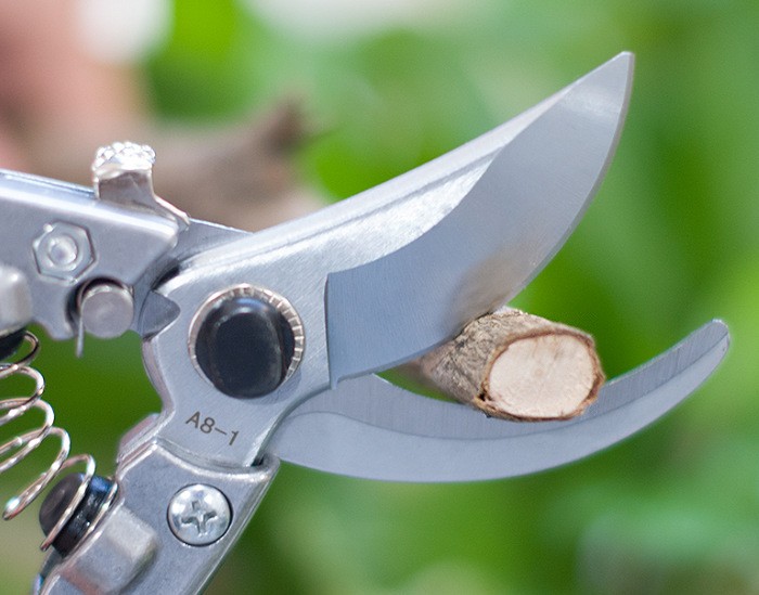凯姿P168果树剪花木剪 园艺修枝剪 枝条修剪树枝剪刀园林工具图2