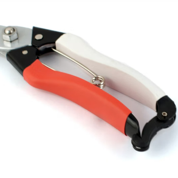 凯姿P168果树剪花木剪 园艺修枝剪 枝条修剪树枝剪刀园林工具图5