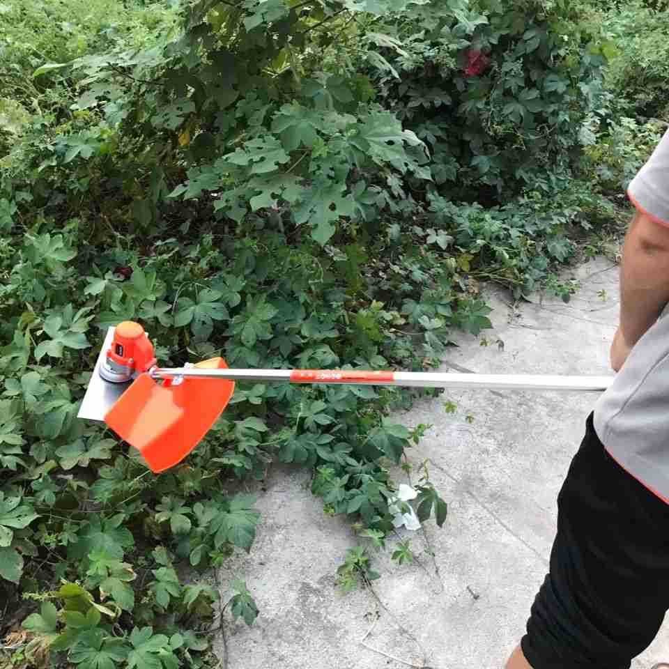 锂电背负式割草机 背包割草机图2