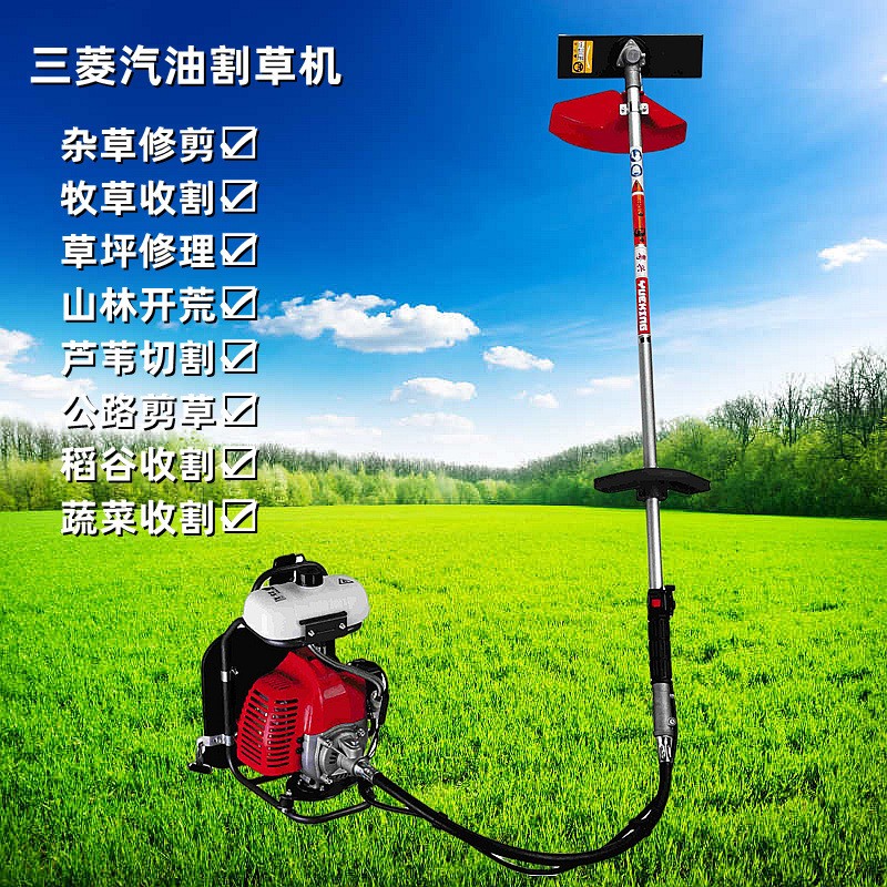 TB43背负式汽油割草机 2冲程大马力园艺割草机 开荒山林割灌机图2