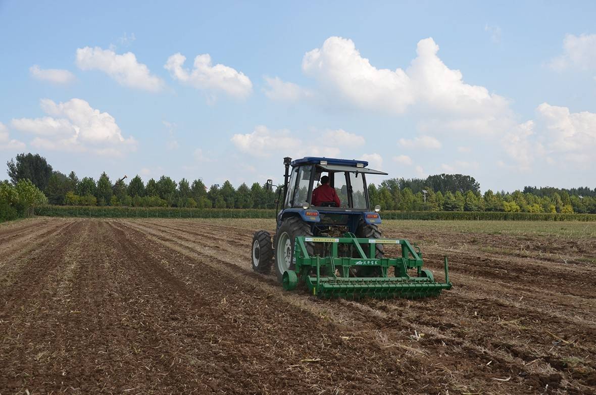 大华宝来1S-200深松机图2