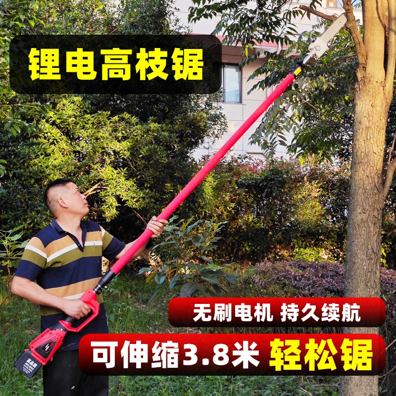 锂电电动高枝锯充电式高空修剪树枝汽油机绿化伸缩加长杆链条锯图2