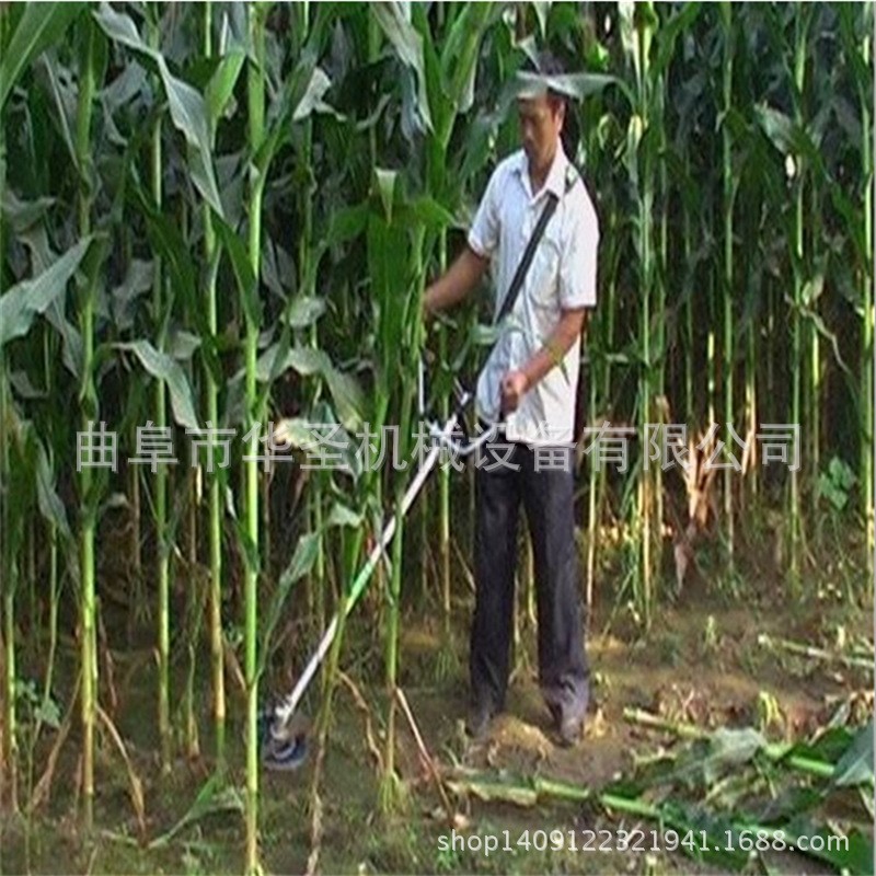 果园背负式除草松土机 小型家用背负式割草机图2