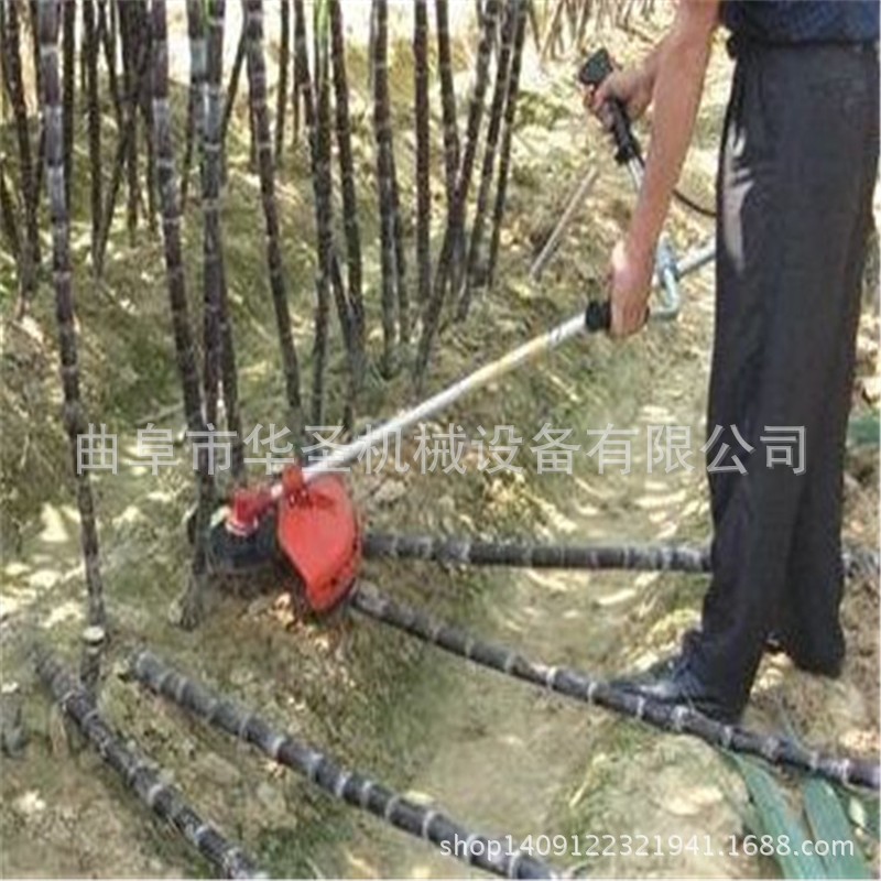 大棚果园轻便汽油除草机 四冲程背负式割草机图2