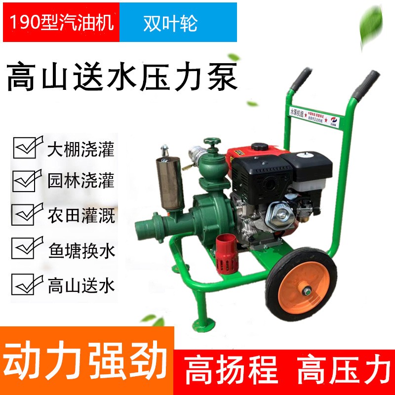 农田浇灌3寸喷灌泵 双叶轮扬程120米风冷柴油高扬泵图4