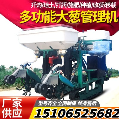 大葱大姜双行开沟培土机大葱管理一体机移栽机收获机打药施肥大葱
