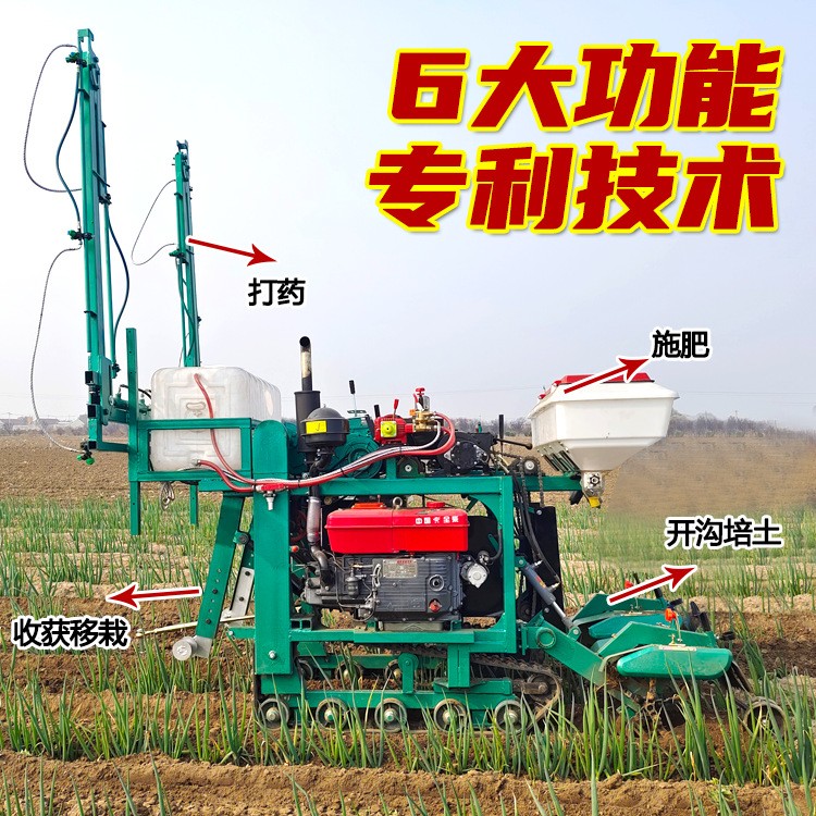 大葱大姜双行开沟培土机大葱管理一体机移栽机收获机打药施肥大葱图3