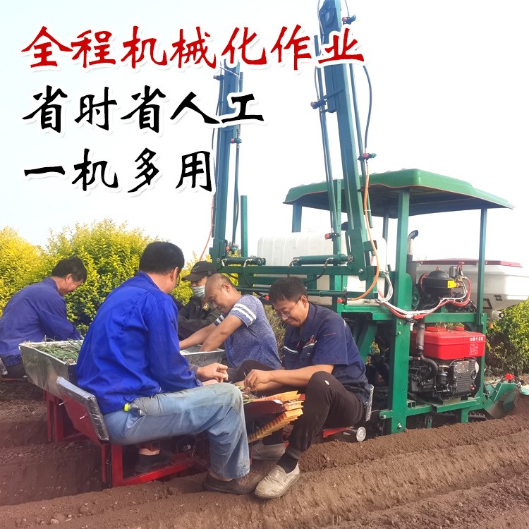 大葱大姜双行开沟培土机大葱管理一体机移栽机收获机打药施肥大葱图2