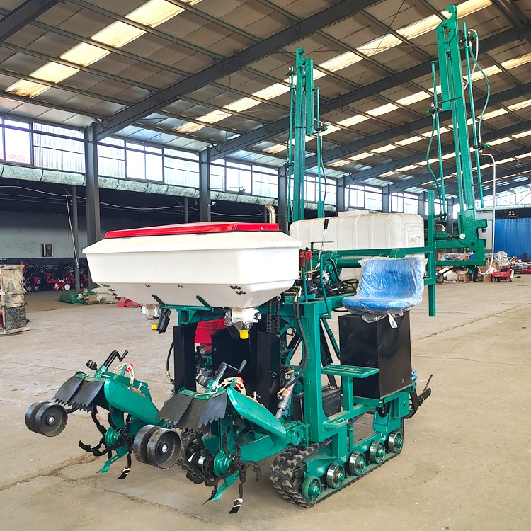 大葱大姜双行开沟培土机大葱管理一体机移栽机收获机打药施肥大葱图4