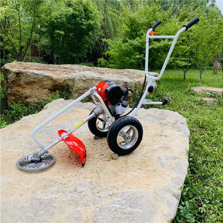 手推自走式割草机园林绿化小型修建机便携式绿化园林汽油打草机图2