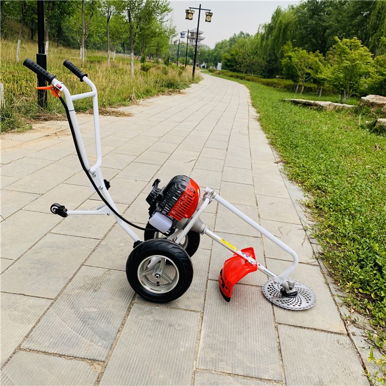 手推自走式割草机园林绿化小型修建机便携式绿化园林汽油打草机图4
