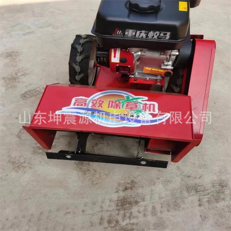 现货销售 汽油款除草机 小型微耕机 松土机 手推式果园锄草机图2