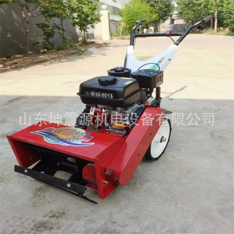 现货销售 汽油款除草机 小型微耕机 松土机 手推式果园锄草机图4