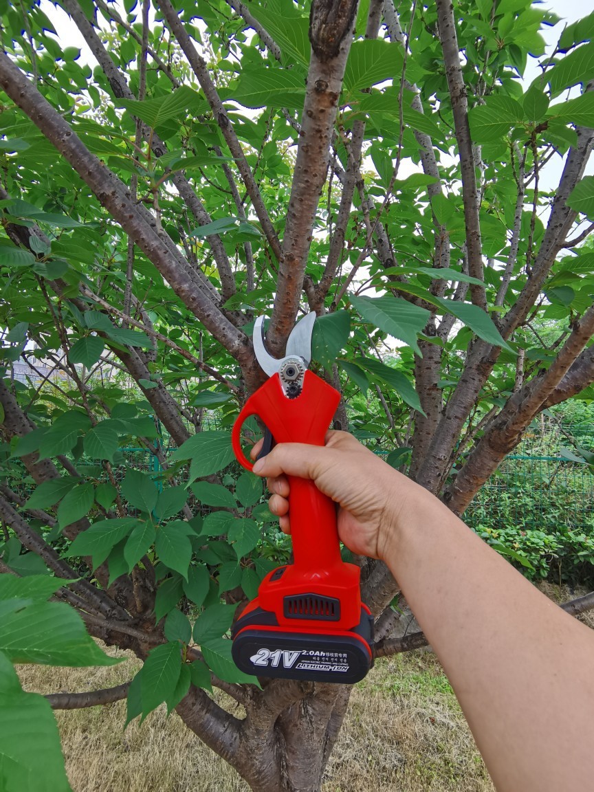24v锂电剪刀采花椒剪枝园林用，2块电池25MM，用图3