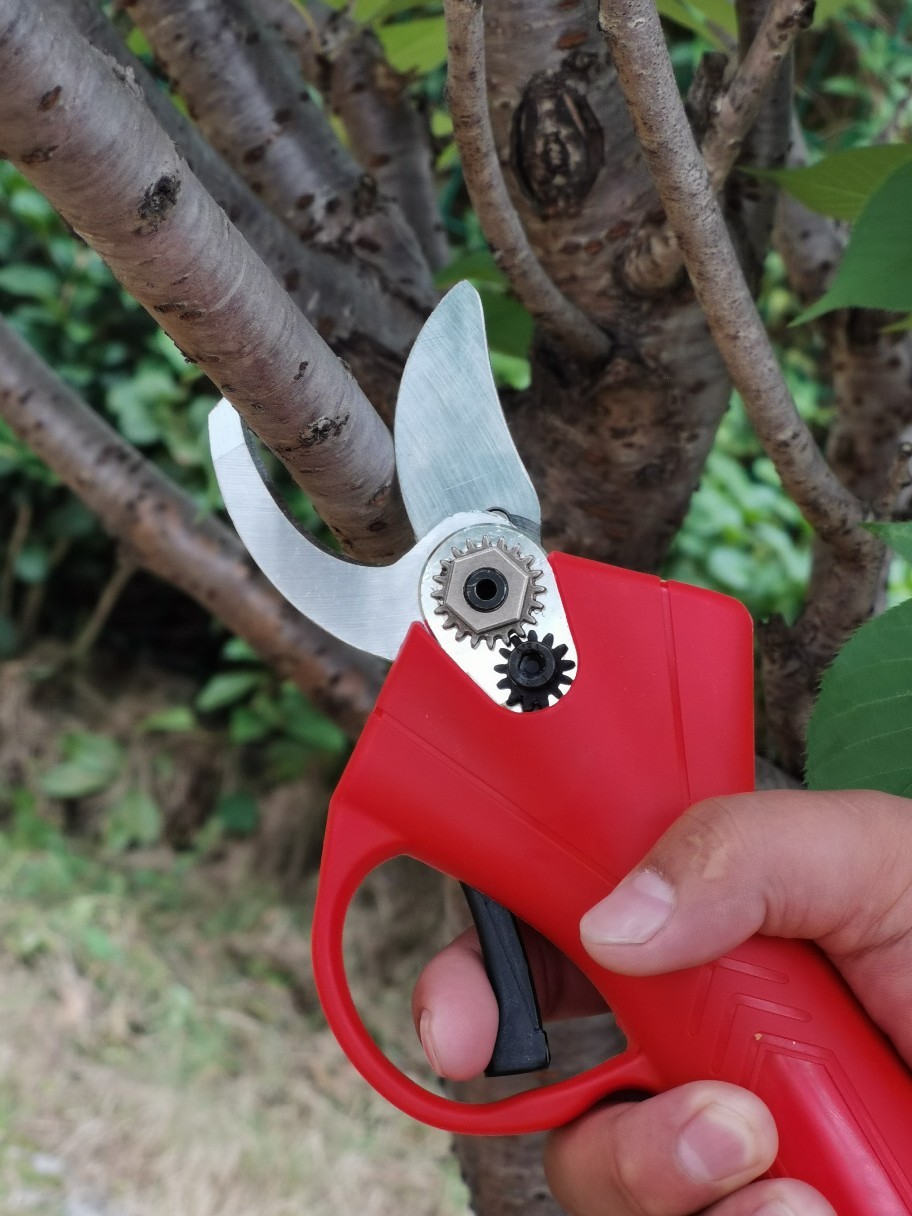 24v锂电剪刀采花椒剪枝园林用，2块电池25MM，用图2