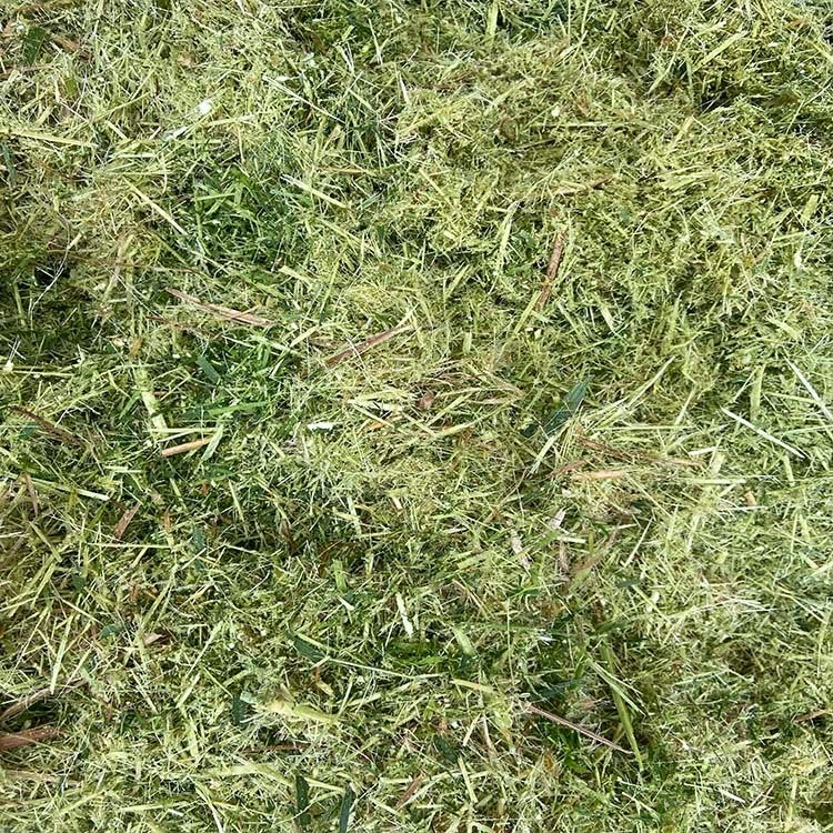 揉丝机_隆康_铡草机_玉米秸秆揉草机 养殖机械图2