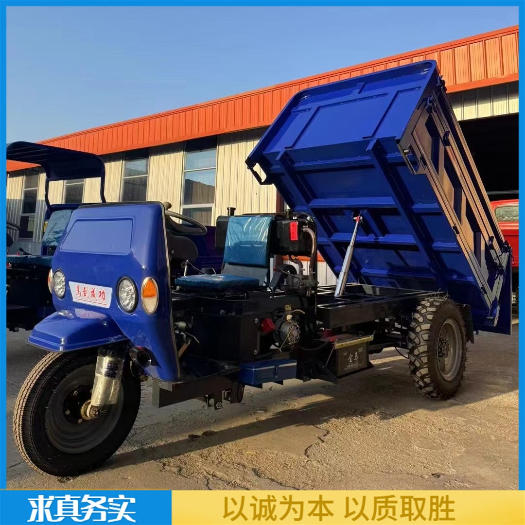 农用柴油三轮车 8速加重后桥工程三马车 质保一年 程达机械图4