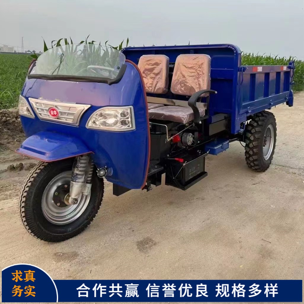 18马力自卸柴油三轮车 载重2-3吨农用拉粮车 发货快 程达品牌图4